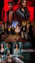 Lokah Chapter 1: Chandra  to Baaghi 4: New OTT Releases This Week
