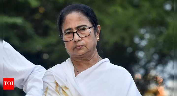 'Girls have to protect themselves': Mamata's shocker in MBBS student rape case; vows strict action against guilty