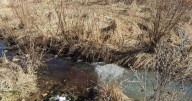 Iowa officials quietly fast-tracked settlement with major meatpacker, environmental group alleges