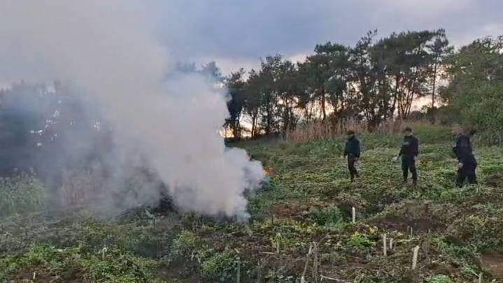 Sohiong-o ganja baganrangko police