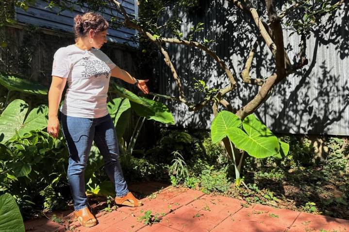 A long-lost ancient Roman artifact reappears in a New Orleans backyard
