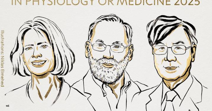 Nobel de Medicina: así funciona la “tolerancia inmune” que ganó el premio de 11 millones de coronas