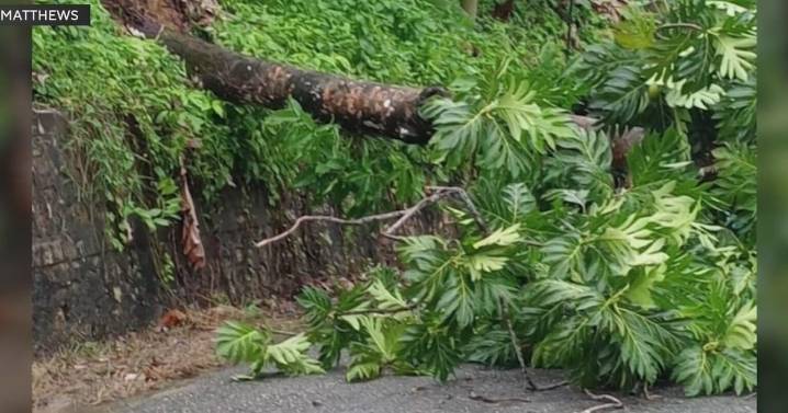 Jamaican man shares impacts of Hurricane Melissa as storm barrels island. "Roads are becoming impassable"
