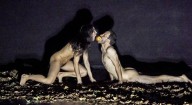 ‘Una Eva y un Adán’ desafía en escena la representación digital de la desnudez