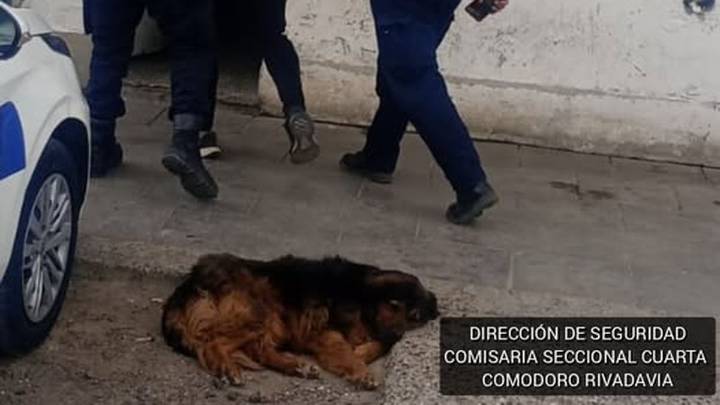 Lo buscaban hace 5 días y lo detuvieron en un control