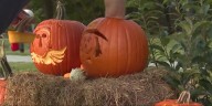Manchester holds second annual pumpkin carving contest on town green