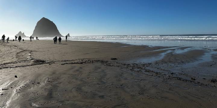 Health officials warn of fecal bacteria exposure from sewage spill in Cannon Beach