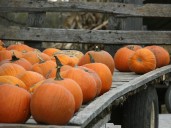 Time for the Pembroke Observer and News weekly Photo Quiz