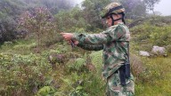 Ejército Nacional neutralizó acciones terroristas en el departamento de Arauca