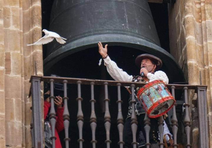 Polémica en Salamanca la suelta de un halcón en un acto folclórico: «Sería como si un cazador diera un tiro en la ciudad»