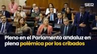 Debate general sobre la sanidad andaluza en el parlamento