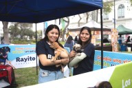 Parque de la Exposición será sede del festival gratuito más grande para mascotas