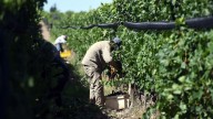 El RENATRE aumentó 10% la prestación por desempleo rural a partir de noviembre de 2025
