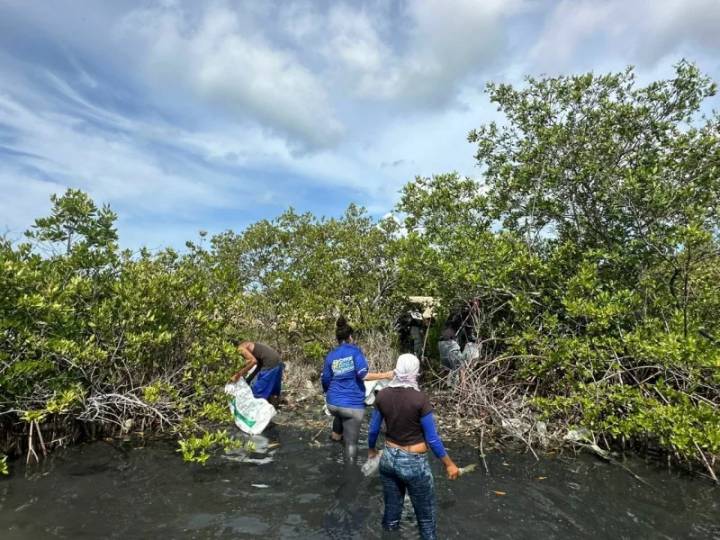Realizan jornada Pesca tu Plástico en lagunas de Punta de Piedras