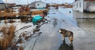 Homes swept away, 1 person killed after remnants of typhoon cause severe flooding in Alaska