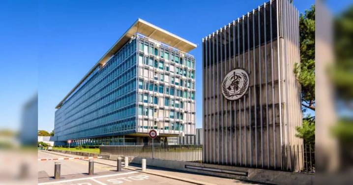 WHO seeks clarification from India if cough syrup linked to deaths was exported