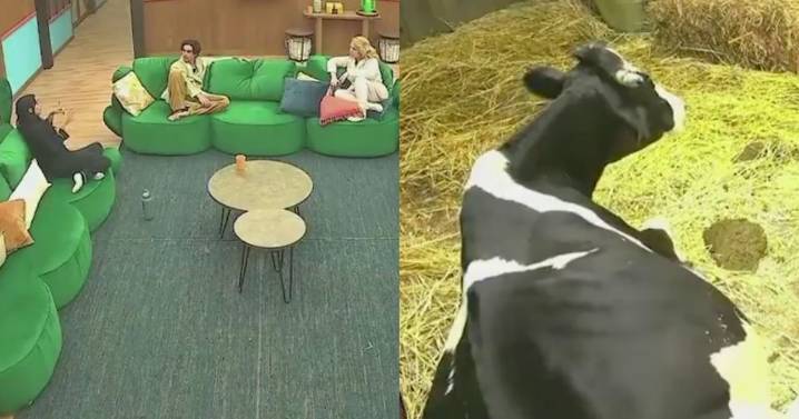 Error en ‘La Granja VIP’ deja expuesta a Kim Shantal: “Tienen errores hasta para censurar”