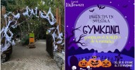 Este es uno de los planes más chulos para ir con niños este Halloween en Málaga: las actividades que propone Bioparc Fuengirola
