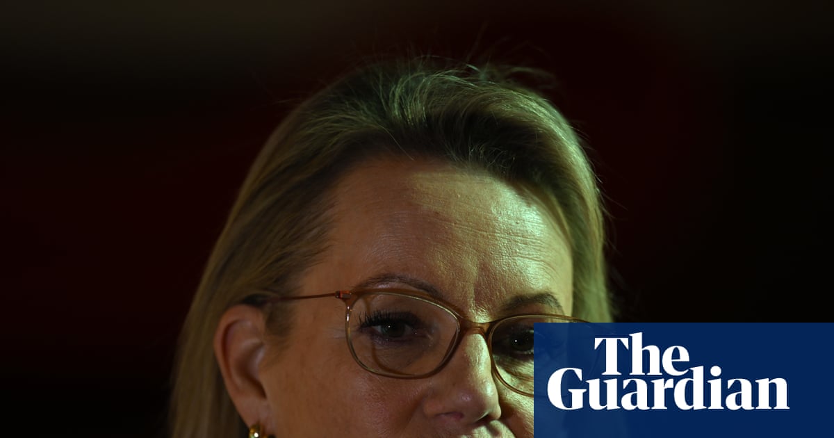 Sussan Ley’s potential net zero compromise risks tearing the Coalition apart and alienating voters on all sides