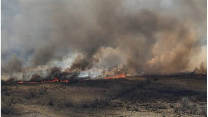 Incendios en el Delta: revocan el sobreseimiento de Rufino Baggio y 42 imputados