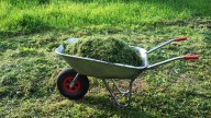 Will Grass Grow If You Use It As Fertilizer In Potted Plants?