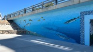 New mural from local artist on display at Seventh Street bridge