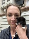 Sarnia shelter starts TNR program for strays