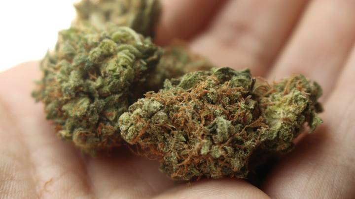 Northern Kentuckians will be able to buy medical marijuana soon. Expect supply to be limited
