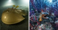 30 Stunning Pics By The Diver And Photographer Who Captures The Deep Sea’s Most Mysterious Creatures