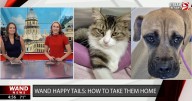 WAND's Happy Tails featuring Sebold and Sheila