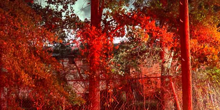 SFD responds to fire emergency on Nena Street