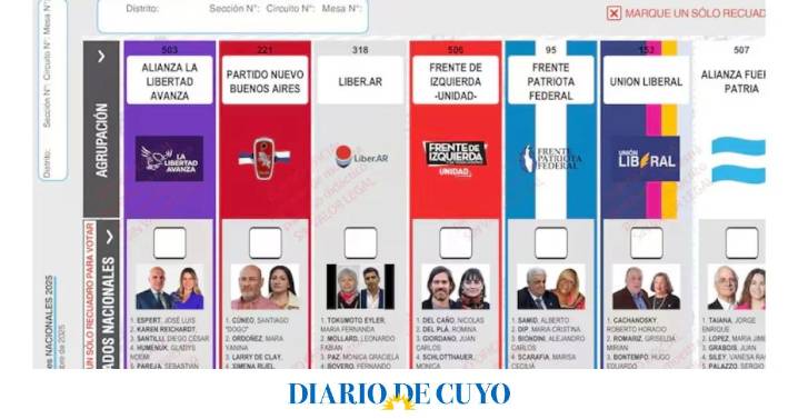 El fiscal descartó reimprimir las boletas en la Provincia de Buenos Aires para sacar a Espert