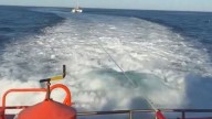 Salvamento desvía varios veleros tras dos incidentes con orcas en Camariñas