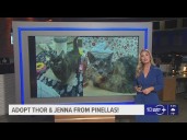 Give Thor & Jenna from Pinellas a fur
