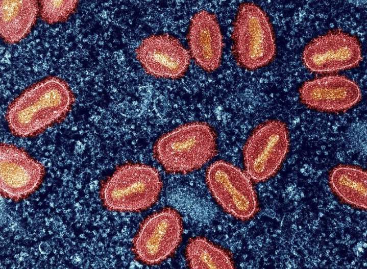 L.A. County Reports First Local Case of Clade I Mpox, Raising Public Health Concerns
