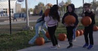 Pumpkin giveaway delights Great Falls students