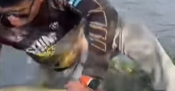 Se hizo el "picante" y terminó en el agua: salteño se cayó al río y se hizo viral