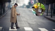 Hombre fingió ser ciego desde 1972 y recibió millonarias ayudas: su jardín sacó a la luz la verdad y ahora enfrenta un juicio