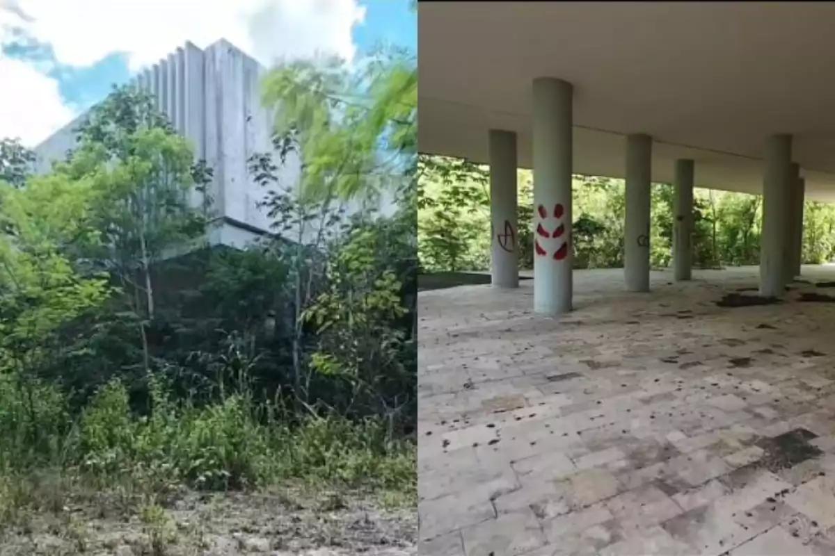 Video: Así luce el Palacio de la Civilización Maya, proyecto inconcluso que la selva de Yucatán reclamó