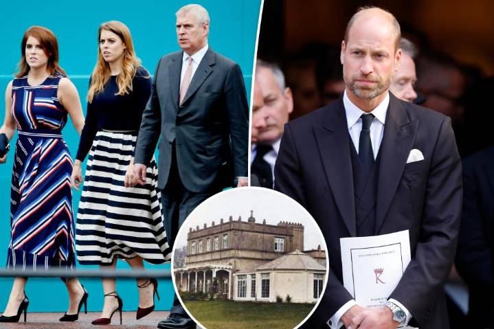 Prince William threatened to take extreme action against Prince Andrew's daughters in battle over royal home: report