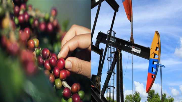 Según el Banco Mundial, precios del petróleo y café, pilares de Colombia, caerán hasta 2026 por sobreoferta global y recuperación de la producción
