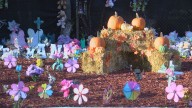 Toledo woman honors Kei’Mani Latigue with memorial upkeep, plans community event