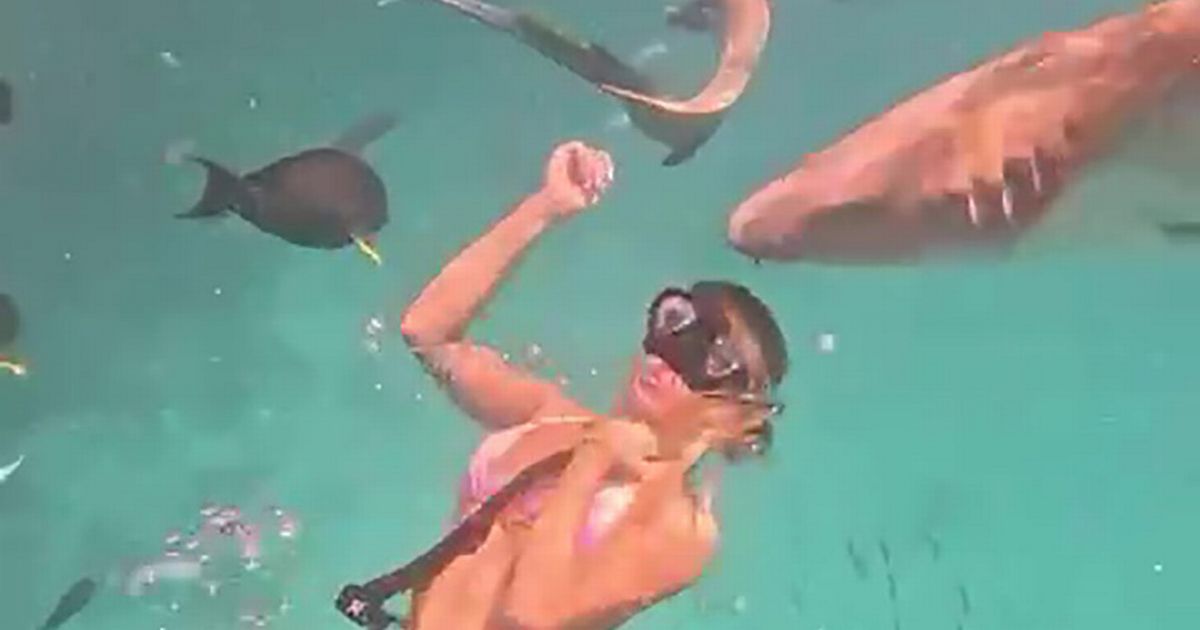 Bonnie Blue headbutts shark while diving but it's the beast who gets scared off