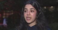 Bay Area teen founds group to promote AI safety among children
