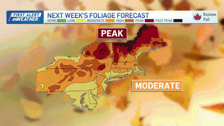 Fall foliage map 2025 New England: Your guide to leaf peeping