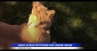 IFC petitions Oscars to recognize animal actors