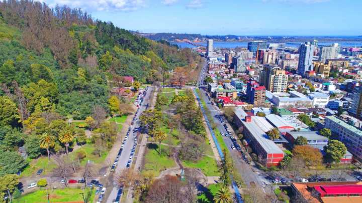 Cerro Caracol: la historia y los desafíos ecológicos del pulmón verde de Concepción