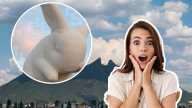 Un conejo gigante invade la ciudad en el Festival Santa Lucía