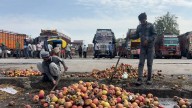 Kashmir Apple Prices Surge 30 Per Cent as Demand Rebounds Across Markets