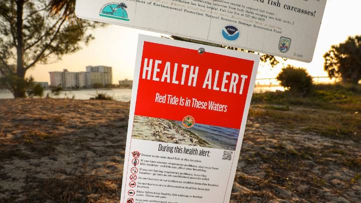 Gotten sick from Florida algae blooms? We want to hear from you
